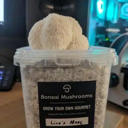 Lion's Mane Mushroom Grow Kit