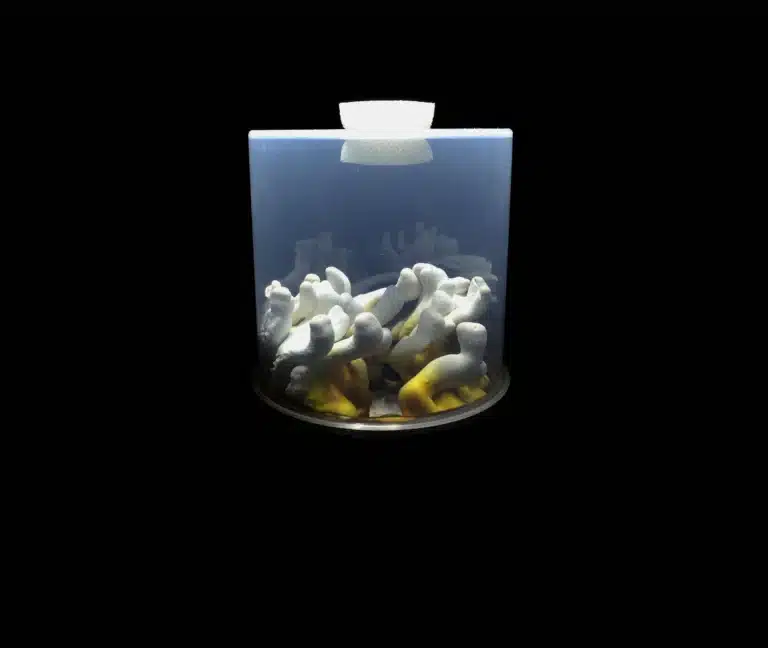 The Bonsai Micro