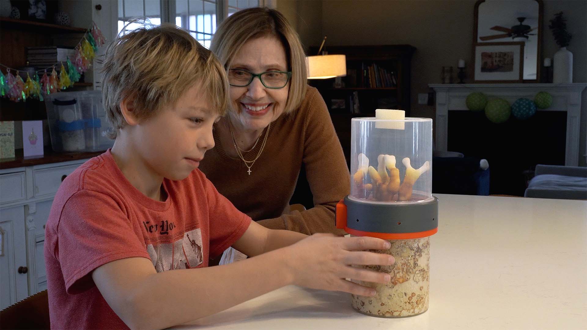 mushrooms for kids and grandma