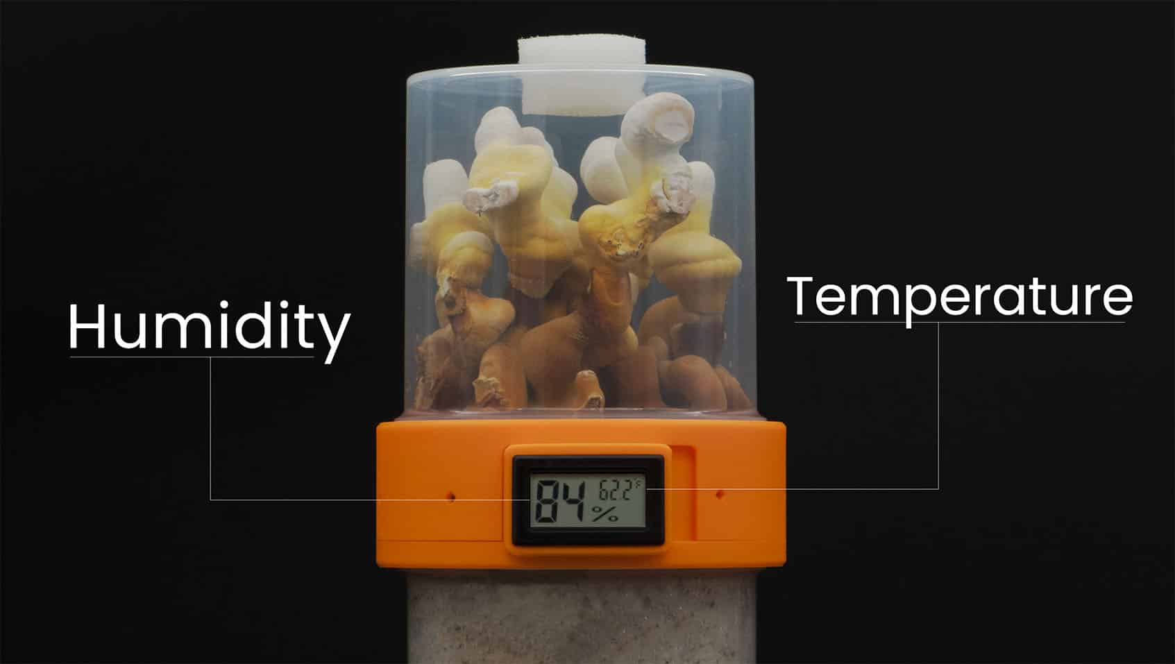 Bonsai Mushroom Pod Grow Capsule Hygrometer Humidity Temperature